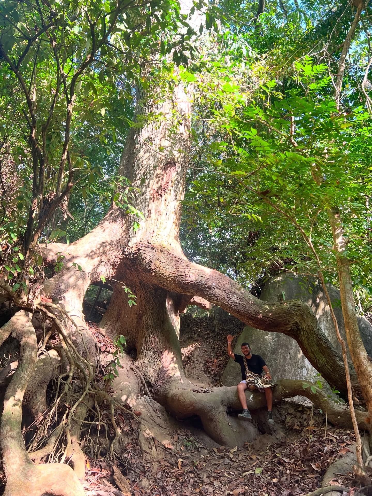 Tayrona National Park tour visitor photo